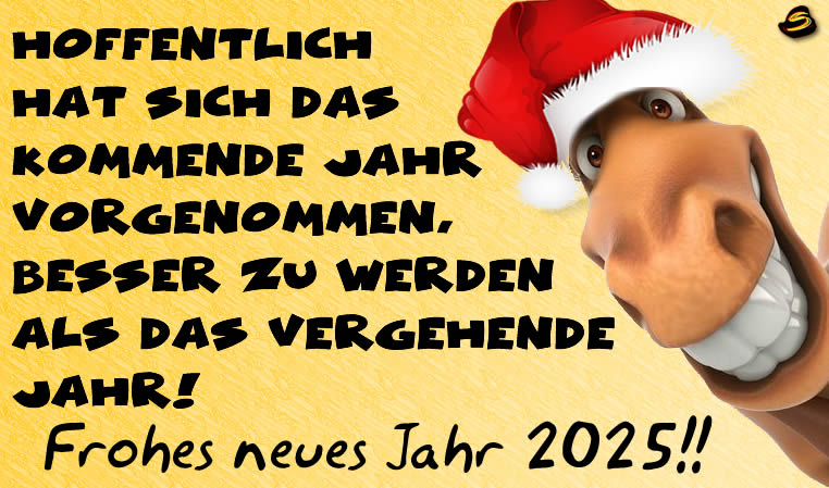 Lustiges Bild mit einem lächerlichen Satz. Ein Pferd mit einer sehr schönen Weihnachtsmannmütze