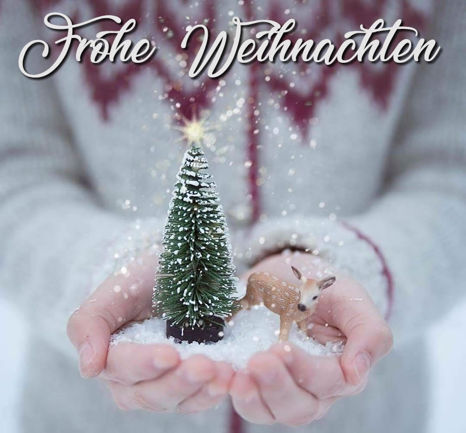 Bild eines Mädchens, das einen Weihnachtsbaum mit einem kleinen Hirsch in den Händen in einer verschneiten Landschaft hält